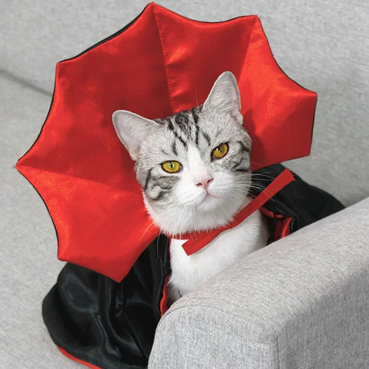 Pet Vampire Cape Hauntingly Cute Halloween Costume for Cats & Small Dogs