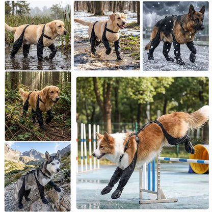 PawGuard Pro Dog Boots ƒ?? Waterproof, Non-Slip Protection for Every Step