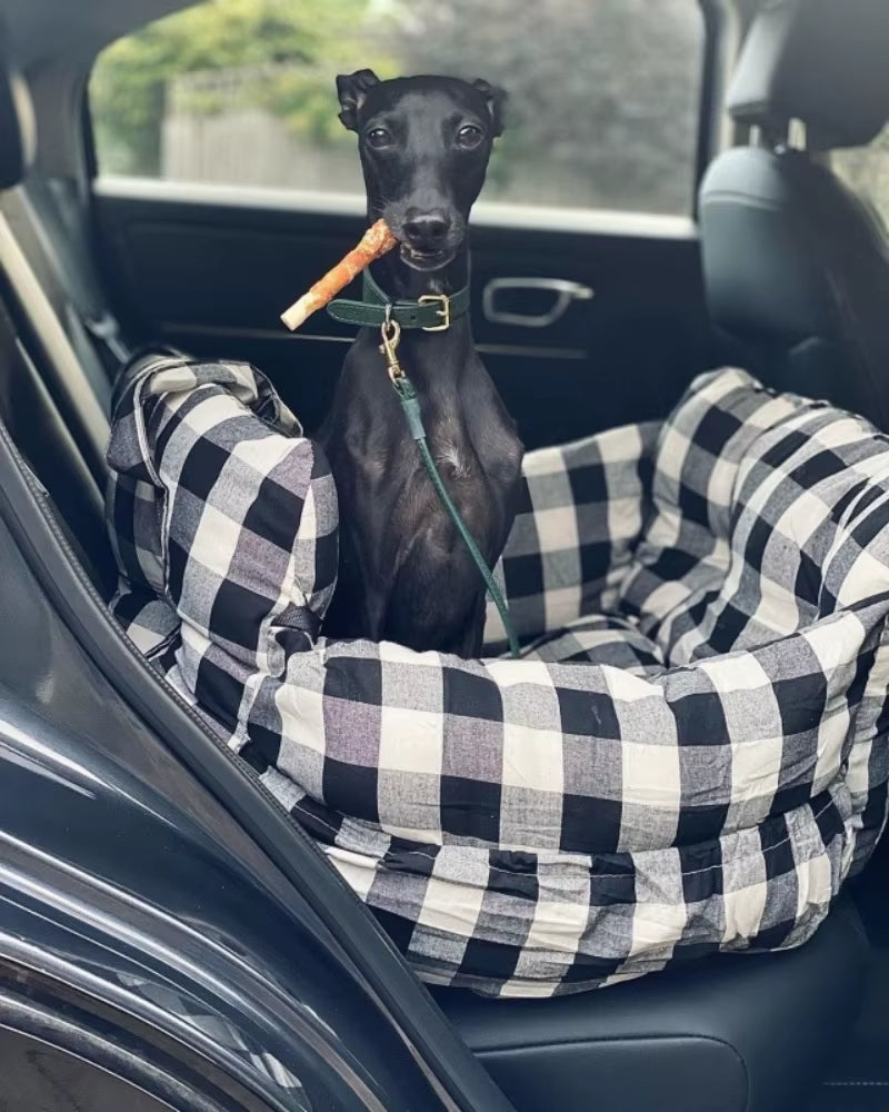 Travel Booster Car Seat ƒ?? Cozy, Secure, and Stylish for Every Pet Adventure!